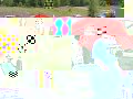 PICT0275