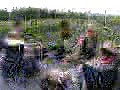 PICT0188