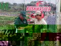 PICT0272